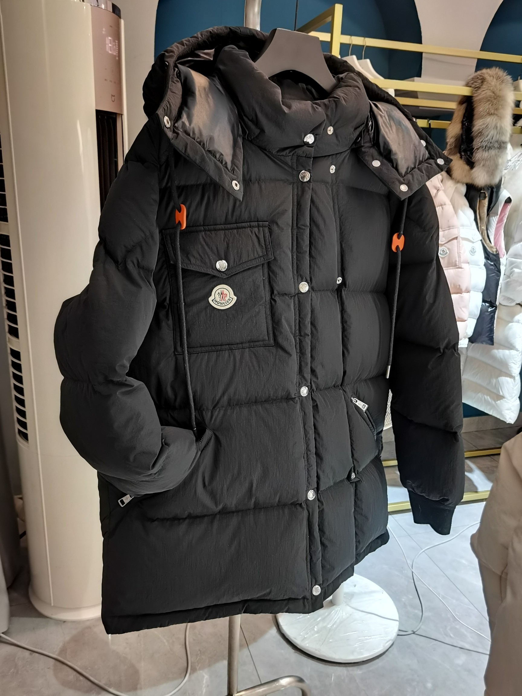 Moncler Down Jackets